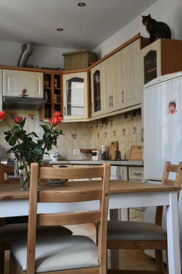 Apartament Rynek 11B Opole Ngoại thất bức ảnh
